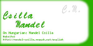 csilla mandel business card